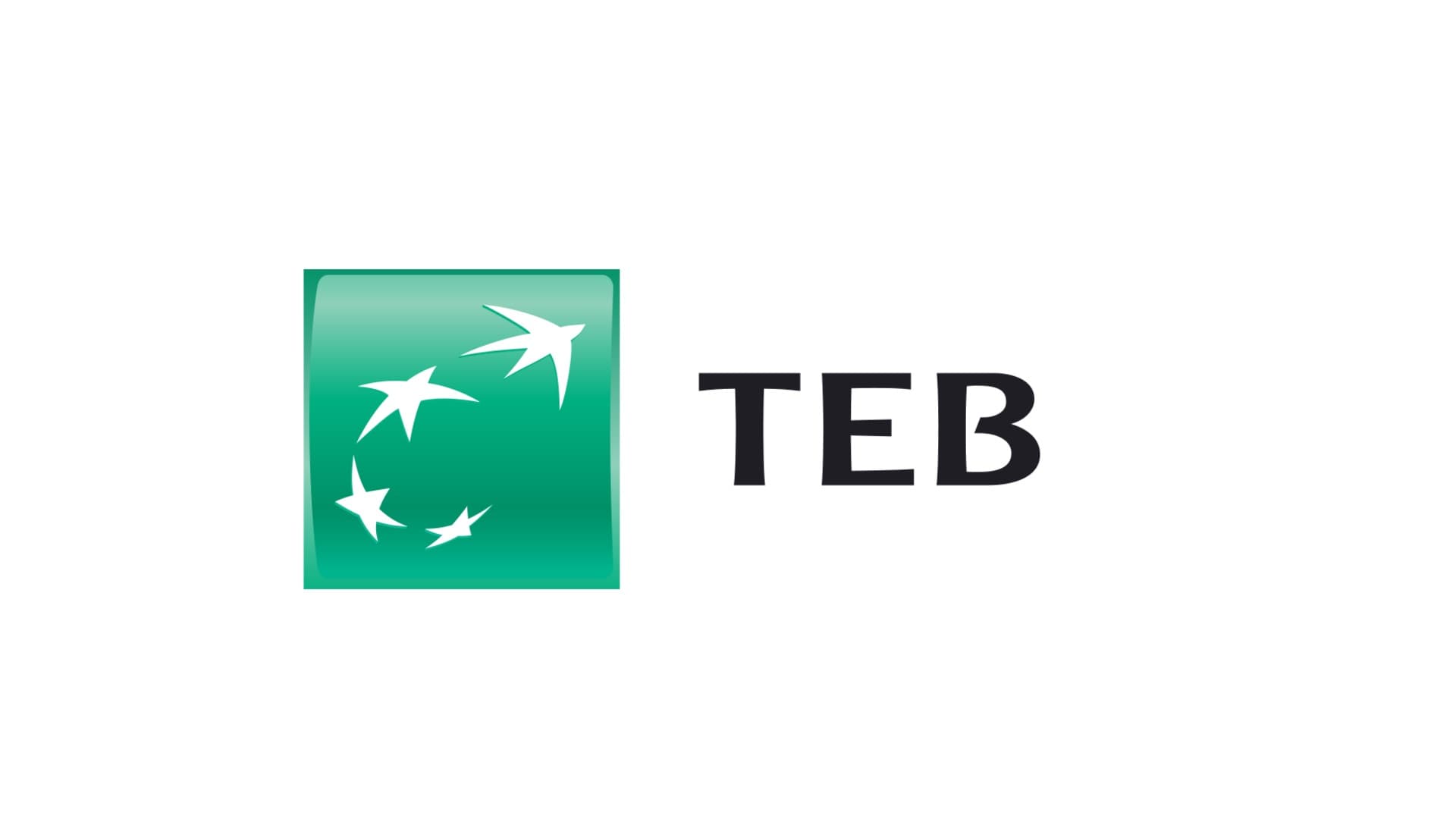 بنك الاقتصاد التركي TEB